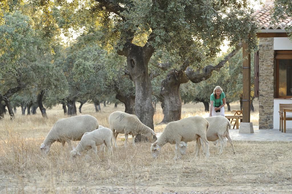 Finca Las Abubillas Jaraicejo Kültér fotó